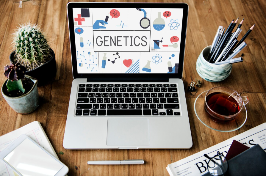 From Search to Success: Revolutionary SEO Techniques You Haven’t Tried